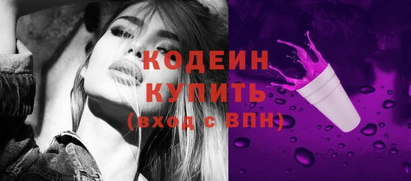 амф Няндома