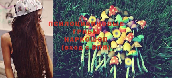 молекула духа Нягань