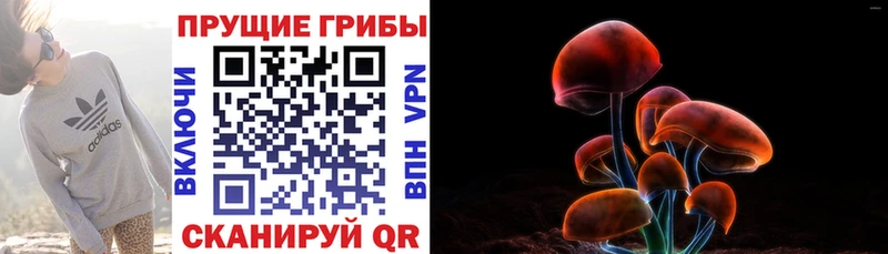 закладки Островной Галлюциногенные грибы ЛСД